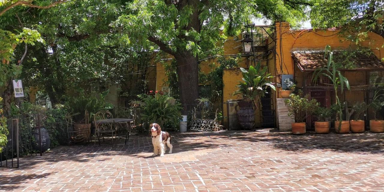 Hotel Sautto San Miguel de Allende Exterior photo
